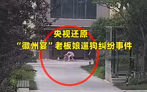 央视还原“徽州宴”老板娘遛狗纠纷事件