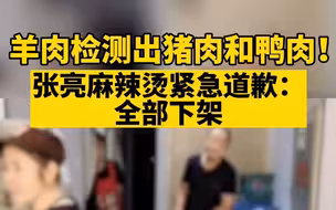 羊肉检测出猪肉鸭肉！张亮麻辣烫紧急道歉：全部下架