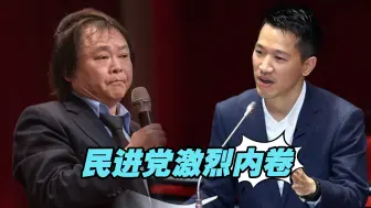2024台立法机构民代选举，民进党激烈内卷