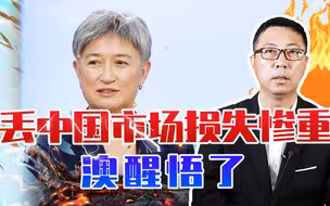 丢中国市场损失惨重，澳醒悟了，外长访华，顶住美国压力寻求合作