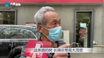 “天屎路”的困与解