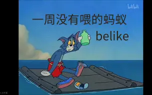 当你将近一周才喂食，你的蚂蚁belike