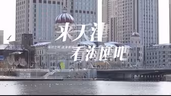 冬日有暖阳丨冬季到天津看海鸥