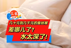 三农未知数丨几十元到几千元的蚕丝被差在哪儿了？这里水太深了！