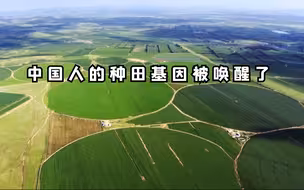 中国人的种田基因被唤醒了