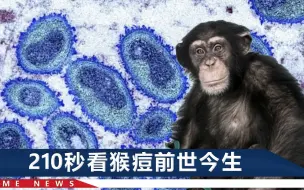 全球1000多人确诊，仅1款疫苗获批上市，世卫：对猴痘不用小题大做