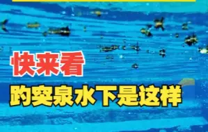 山东好品火爆出圈儿！水下泉城有你不曾见过的精彩