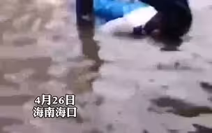 海口一小学生触电倒入积水中，市民用雨伞将其从积水中拖出抢救，将孩子从死神手里夺回！