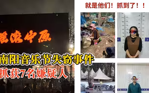 南阳媒体称音乐节盗窃案7人被抓