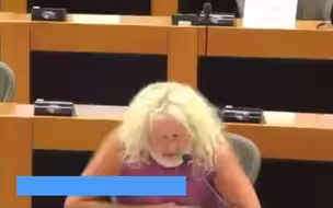 欧洲议会议员：中国的军事政策是出于防卫，而非侵犯！