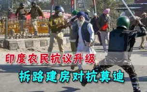 就要和莫迪对着干？印度农民拆路建屋打持久战：不废法律不罢休