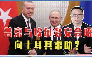 俄陷苦战，伊朗未送无人机？普京与埃尔多安会晤，向土耳其求助？