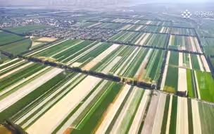 你知道吗？人民币的主要成分来自棉花