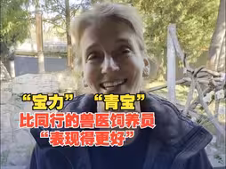 美国华盛顿动物园：“宝力” “青宝”起得很早 似乎比同行的兽医饲养员“表现得更好”