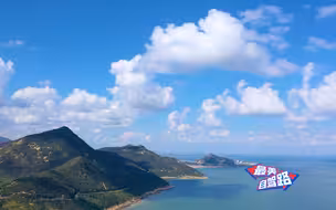 解锁江苏500公里黄金海景自驾游线路 总台财经节目中心十一期间播出最美自驾路 探场江苏站。沿黄金海岸线，看万鸟翔集，游森林绿海，品古巷海鲜！