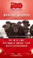 快马加鞭 半湾休闲养生文化园预计年底完成主体工程建设