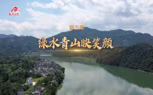 跟着总书记振兴乡村 | 第三集：《绿水青山映笑颜》
