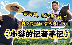 “哦买噶，巴适得板！”四川村支书直播带货太过专业了