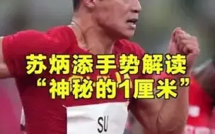苏炳添手势含义