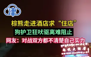 棕熊走进酒店求“住店”，狗护卫狂吠驱离难阻止！网友：对战双方都不清楚自己实力