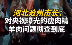 河北沧州市长：对央视曝光的瘦肉精羊肉问题彻查到底