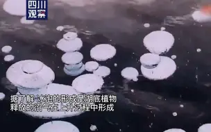 漠河冰封湖面现“冰泡”奇观 温度低至零下18℃