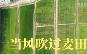 “袁爷爷，风吹过稻田我就想起你。”