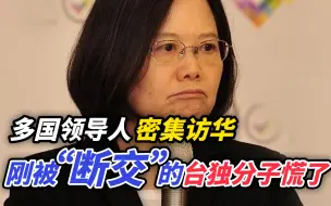 多国领导人密集访华，刚被“断交”的“台独”分子，这下真的慌了