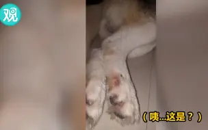睡在我上铺的兄弟...