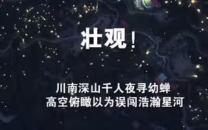 壮观！川南深山千人夜寻幼蝉，高空俯瞰以为误闯浩瀚星河