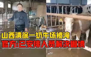 官方回应山西清徐一养殖场奶牛被困：已安排人员对接尽量减免损失