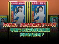 打擦边，搞流量被罚了40万，年赚50亿的椰树集团，真的低俗吗？