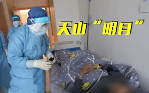 你好武汉！我是从天山来的“明月”