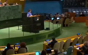 联合国安理会通过美国涉乌决议：中美俄投票赞成 英法投弃权票