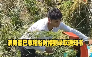 小伙收稻谷时接到大学录取通知书