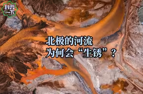 北极的河流为何会“生锈”？