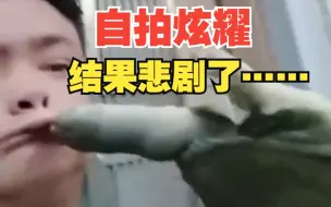 男子手机自拍炫耀钓到“狠东西” 下一秒被死死咬住