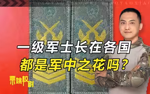 军士长究竟有多重要？参考美军案例，上尉见了都要主动敬礼
