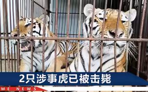河南一饲养员被老虎咬死，家属称其平时谨慎，知情者说他没锁圈门