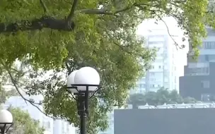 气象分析：本周末冷空气来袭 回暖后再降温是倒春寒？