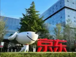 每月1.4万人次代打卡，京东调整考勤方式，“不拼搏的人不是兄弟”