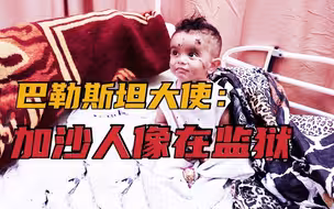 【独家|安理会劝架】西方选择性漠视巴勒斯坦常年遭以色列炮袭？