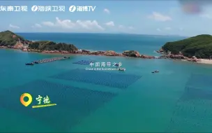 【山海福建】上天把多巴胺的装扮给了宁德