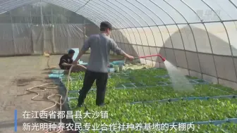 “闲得慌”对接“用工荒”