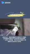 17只变百只！南通海关截获活体剧毒寡妇蛛及大量蜘蛛卵囊