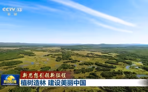 新思想引领新征程丨植树造林 建设美丽中国