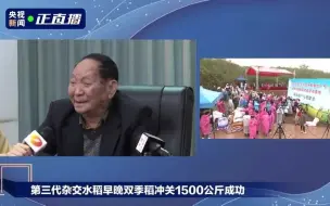 袁隆平：晚稻亩产超过900公斤，非常满意了，more than excited