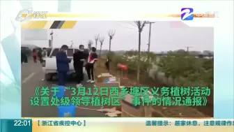 广西一地设“处级领导植树区”？  新华社评：领导专用锅  别让小王背
