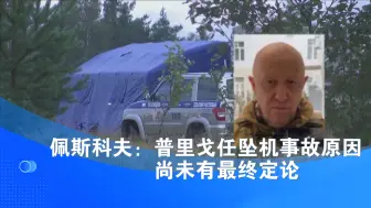佩斯科夫：普里戈任坠机事故原因尚未有最终定论