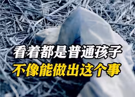 邯郸3名杀害同学的初中生被刑拘！村民：看着都是普通孩子...